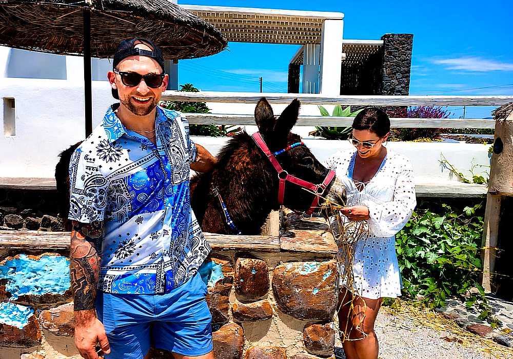 santorini-island-tour-olive-oil-tasting-and-farm-to-table-experience-img5